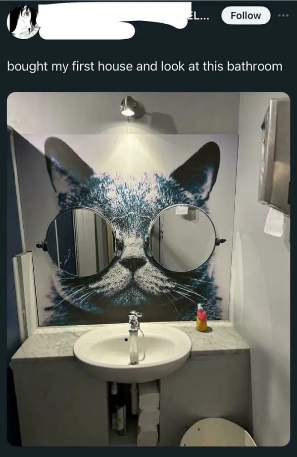 Capturing a bizarre interior design choice, this internet meme shows a bathroom decorated with a giant cat wall mural where the feline's eyes are actually two functional circular vanity mirrors.