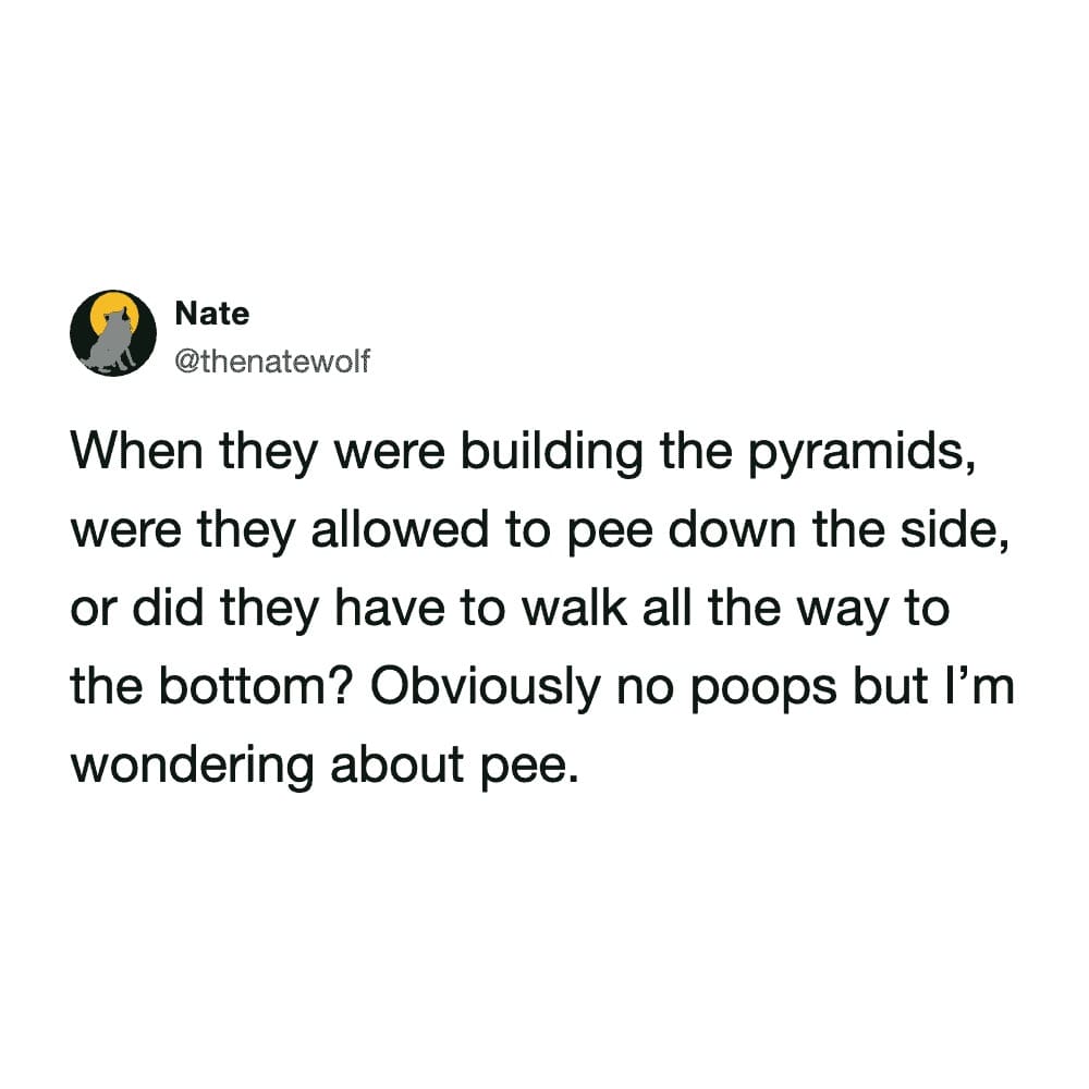 text-based meme dump entry from user @thenatewolf on X. The post ponders the daily life of ancient Egyptians, asking, "When they were building the pyramids, were they allowed to pee down the side, or did they have to walk all the way to the bottom? Obviously no poops but I’m wondering about pee."