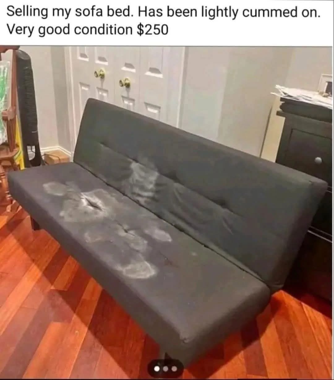 cursed meme dump screenshot of a $250 sofa bed for sale on a marketplace, where the seller claims it has only been "lightly" stained despite unmissable, massive white splotches covering the cushions.