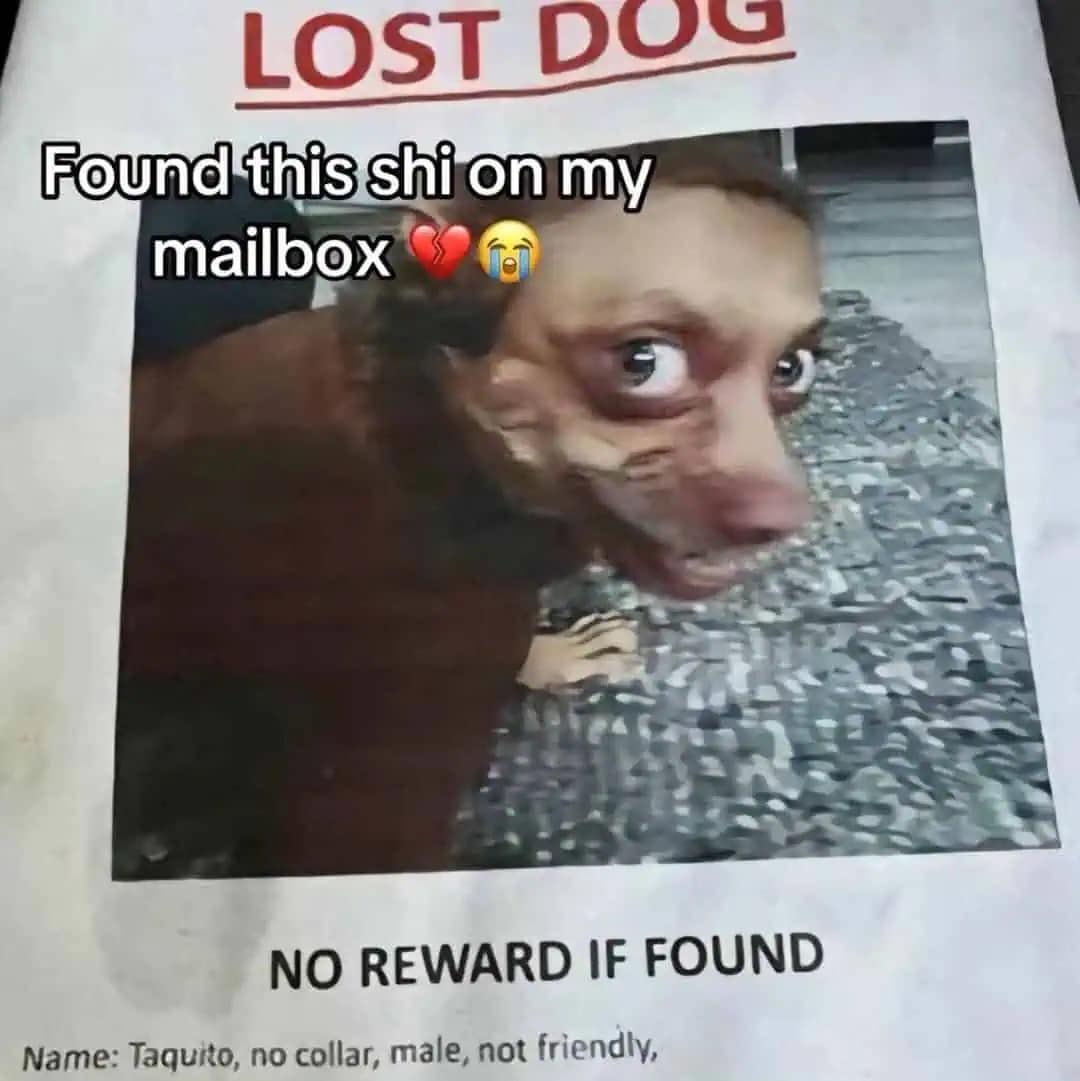 unsettling hilarious meme of a "Lost Dog" flyer for a creature named "Taquito," featuring a terrifyingly realistic human-faced dog with the caption "NO REWARD IF FOUND" and a warning that he is "not friendly."