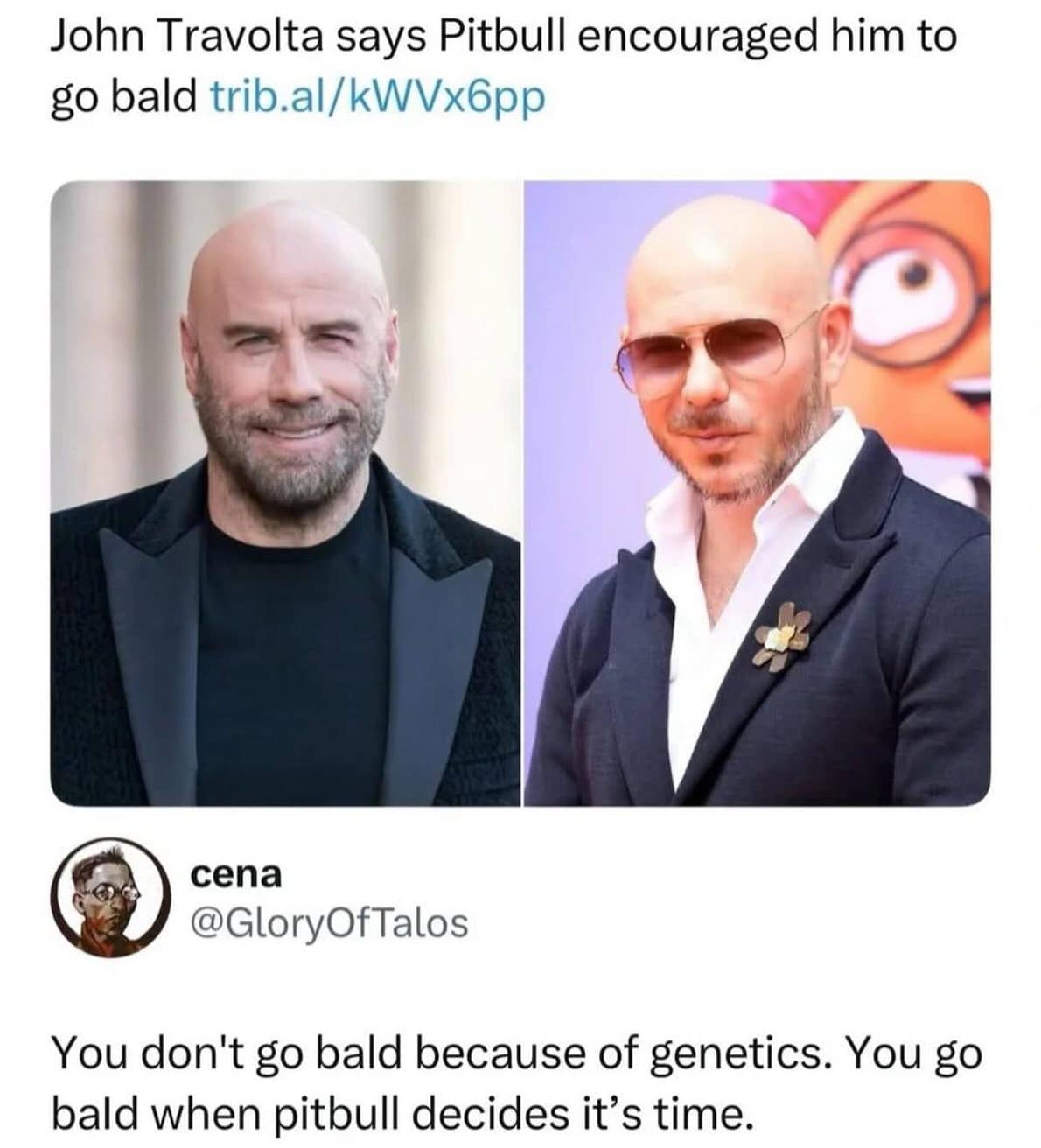 A screenshot of a news story about Pitbull convincing John Travolta to go bald, paired with a hilarious comment suggesting Pitbull is the ultimate, divine arbiter of when a man's hair time is officially up.