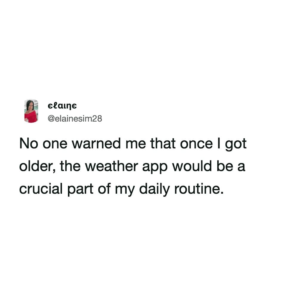 relatable meme dump tweet from @elainesim28 about the boring realities of adulthood. The text says: "No one warned me that once I got older, the weather app would be a crucial part of my daily routine."