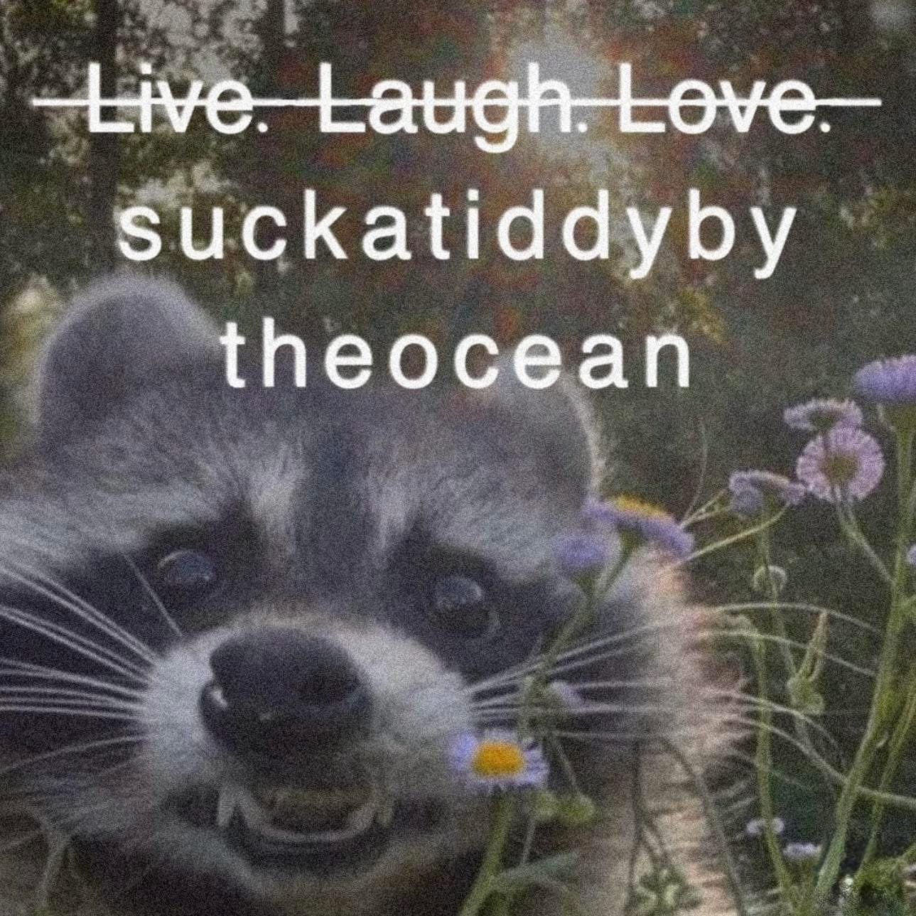 unhinged meme dump graphic of a raccoon staring intensely from behind purple wildflowers, with the "Live, Laugh, Love" mantra crossed out and replaced with the absurd phrase "suckatiddyby theocean."