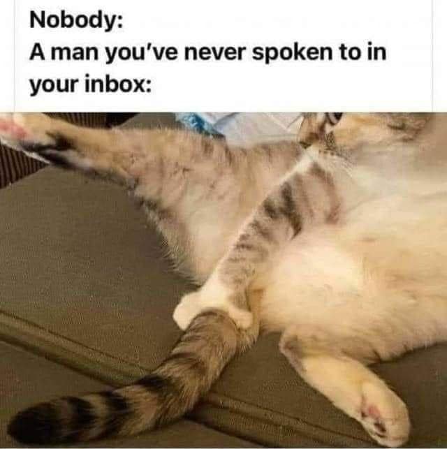 A relatable but "cursed" meme dump entry showing a cat with its leg thrust high in the air, used as a visual metaphor for the unwanted and aggressive messages men often send to a stranger's inbox.
