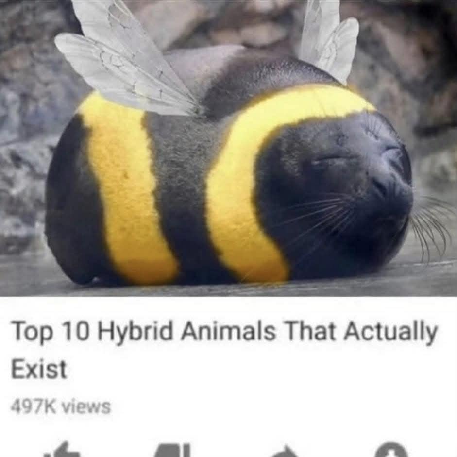 surreal funny meme from a "Top 10 Hybrid Animals" video, showing a photoshopped "Bumble-Seal" creature with yellow bee stripes and tiny wings resting on a rock
