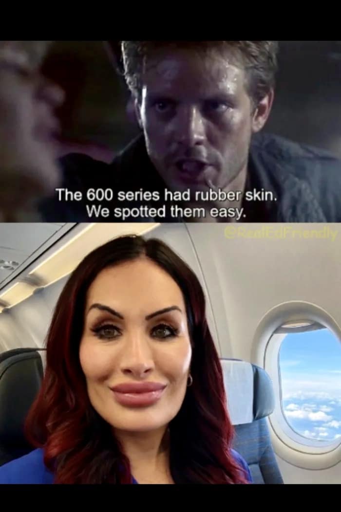 savage hilarious meme comparing modern cosmetic procedures to The Terminator. The top panel shows Kyle Reese saying, "The 600 series had rubber skin. We spotted them easy," while the bottom panel shows a woman with very prominent lip fillers and facial work sitting on a plane.