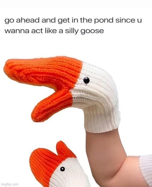 A knitted goose-head oven mitt held high to deliver the ultimate playground ultimatum: "go ahead and get in the pond since u wanna act like a silly goose."