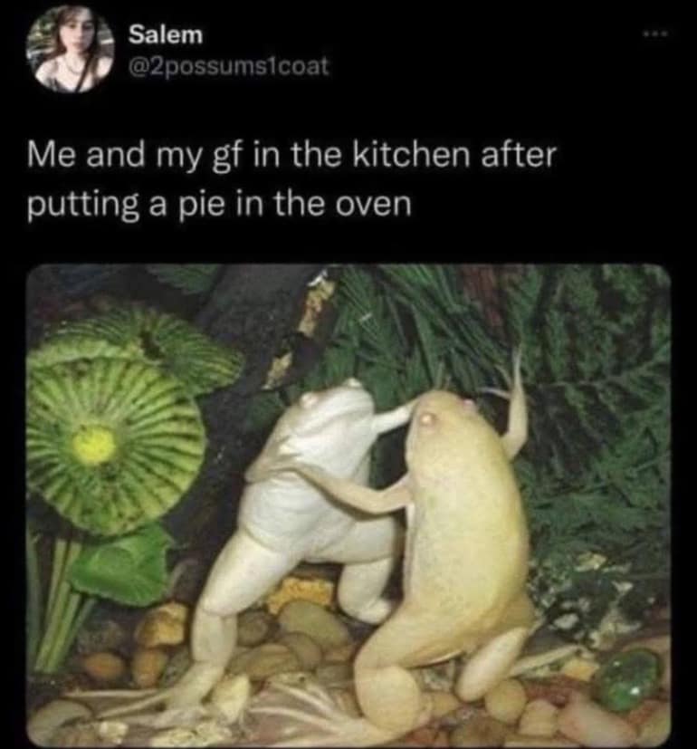 A highly relatable and hilarious meme showing two pale frogs standing on their hind legs appearing to awkwardly dance together, perfectly representing couples waiting for a pie to bake in this romantic meme dump.