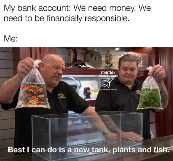 Pawn Stars meme comparing a financially responsible bank account to a hobbyist unapologetically buying a brand new aquarium tank, plants, and fish. Highly relatable funny memes.