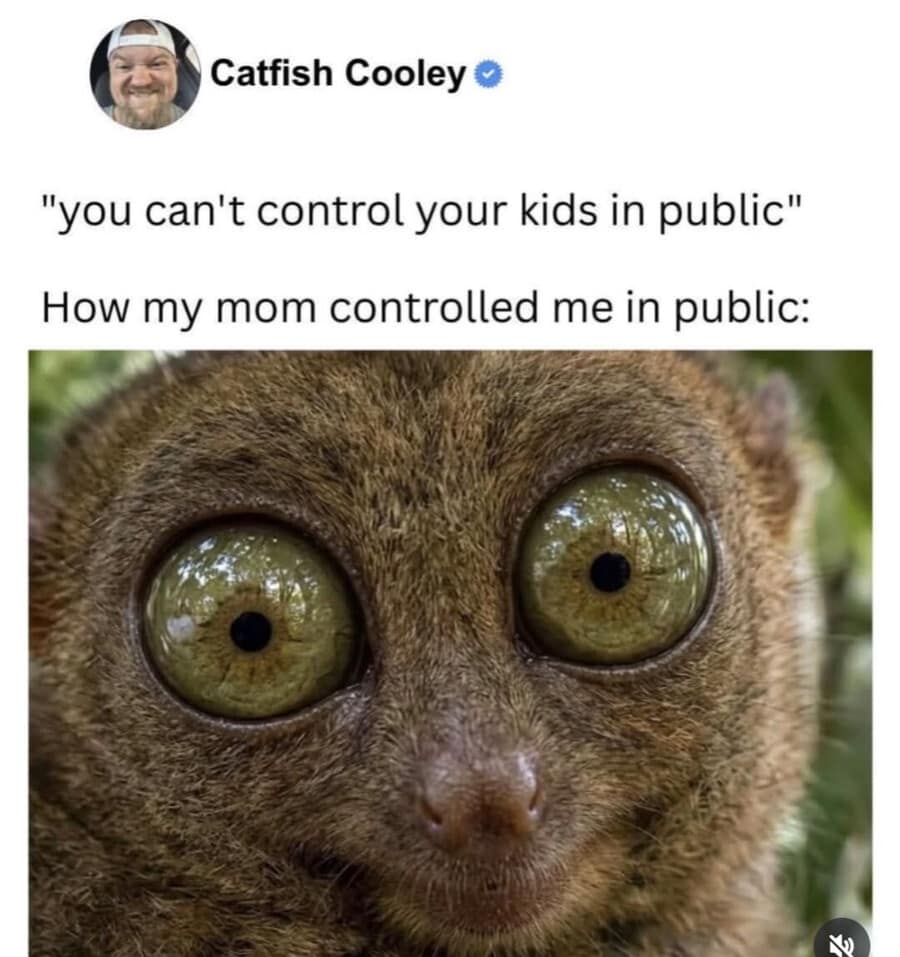 relatable childhood funny meme showing a small tarsier with massive, intensely wide-open eyes to perfectly represent the terrifying glare moms use to control their kids in public in this classic meme dump.