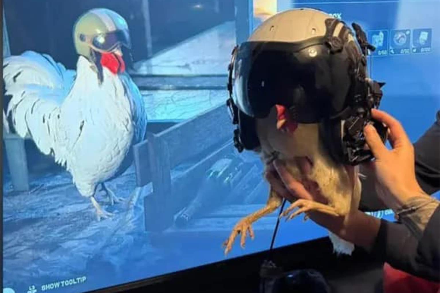 Funny memes compilation: A meme dump featuring a homeowner with 400 dangerously wired car batteries, a live chicken wearing a pilot gaming headset, and massive pink platform high heel Crocs.