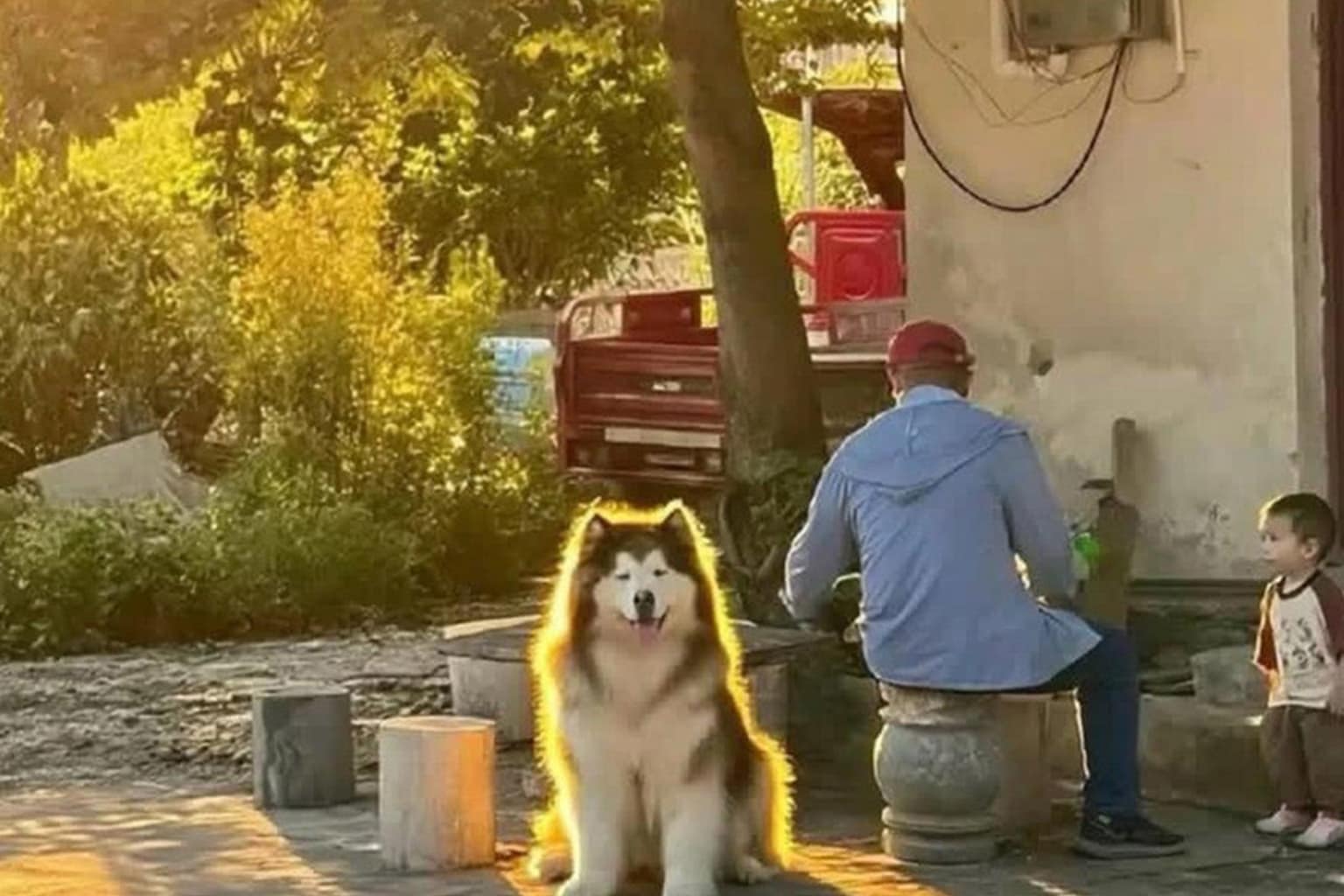 A complete 20-image meme dump that perfectly captures modern internet absurdity, featuring standouts like an unhinged AI overview advising girls to eat donuts for curves, Tumblr users heavily criticizing Voldemort's basic survival logic, and terrifying eldritch monsters discovering they have romantic online fans.