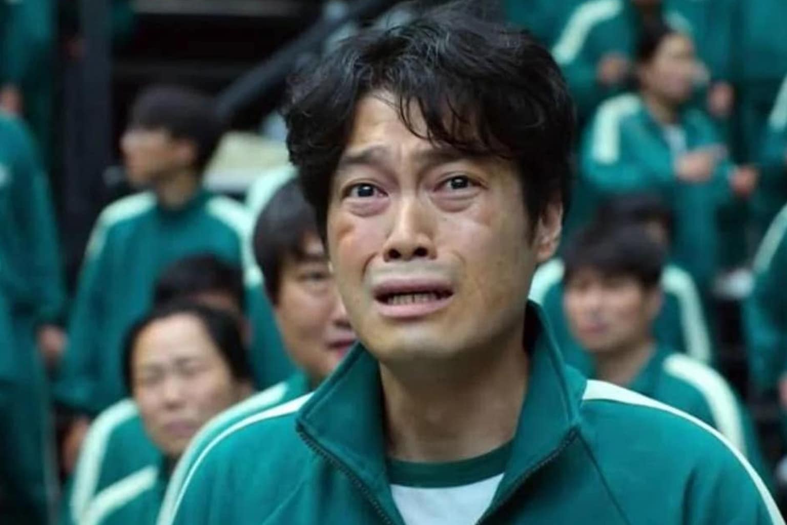 meme dump compilation: A collage featuring a heavily overweight cat lounging on a giant pizza slice in space, a Dove deodorant stick with a literal bite taken out of it, and the Birds Aren't Real account reacting to scientists turning dead birds into drones.