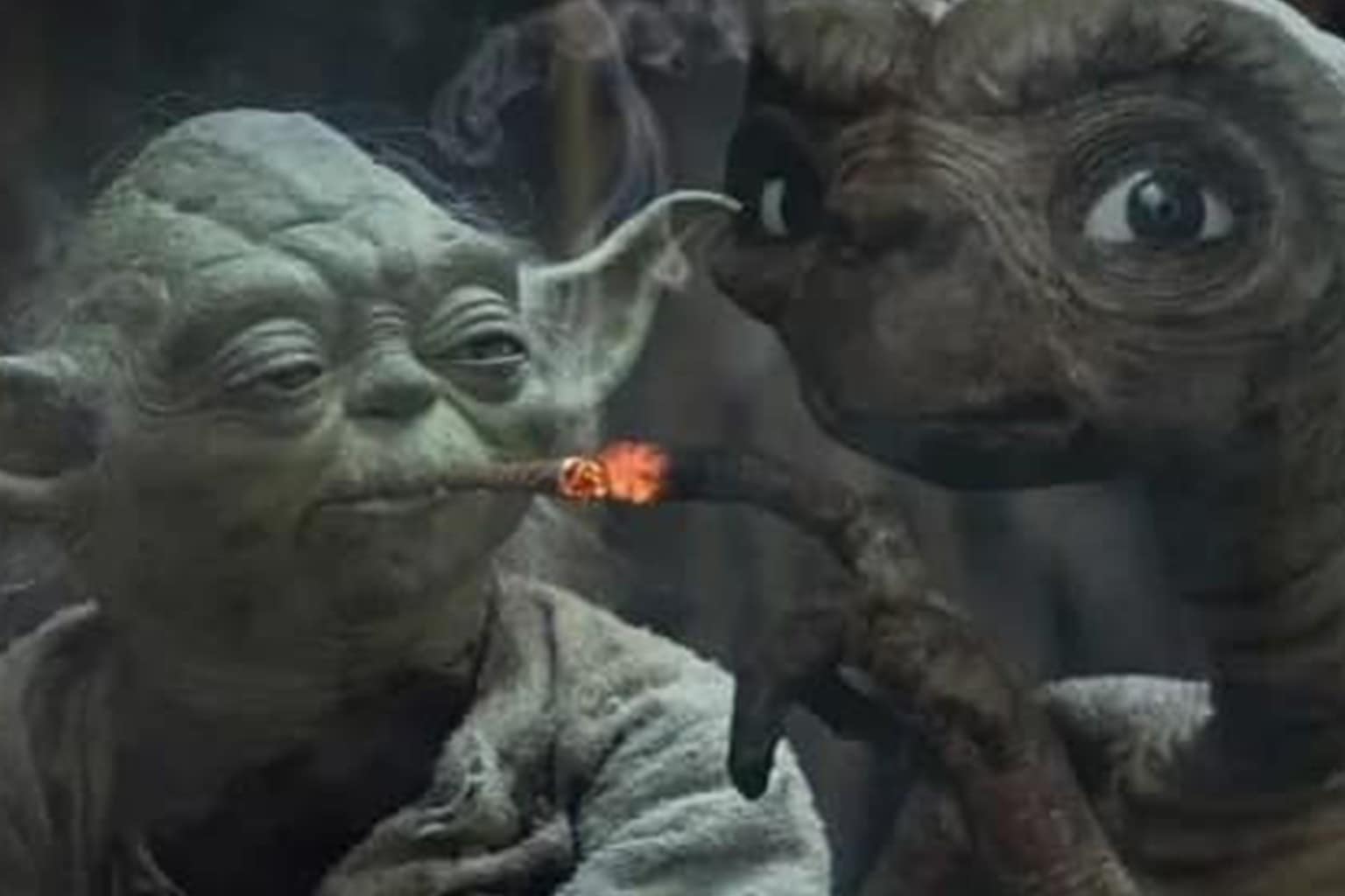 This March 31 meme dump is a high-octane archive of digital absurdity, architectural nightmares, and sharp-tongued social commentary. The batch highlights a trend of "Reframed Realities," where users find hidden meanings in children’s shows like Bluey or propose reality-TV-style additions to traditional weddings.