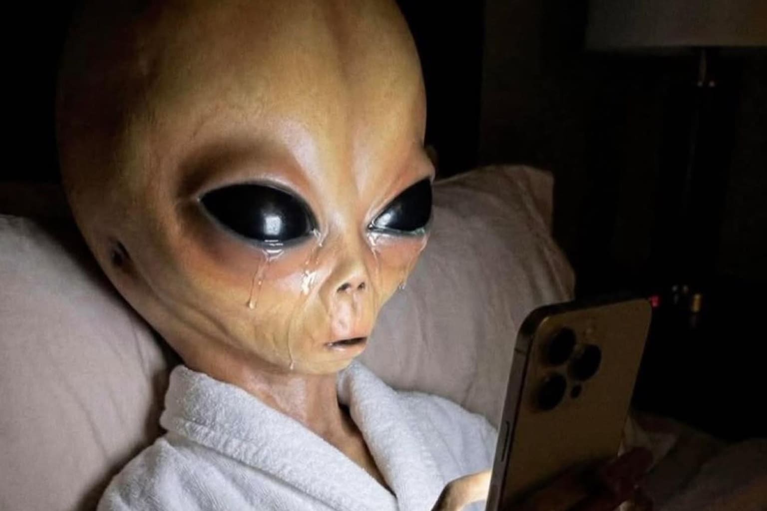 A meme dump featuring a grey alien crying while looking at his bank transaction history, a vet clinic text message about a dog named "The Rotisserie Bastard," and a pair of Yeezy sneakers that look like giant dumplings.