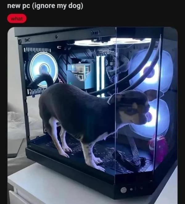 tech funny meme showing a small chihuahua proudly standing entirely inside a custom-built, LED-lit PC tower case, ignoring all standard computer logic, while the caption demands viewers ignore the dog.