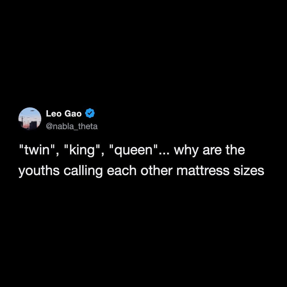 A generational-gap funny meme from Leo Gao wondering why "the youths" are calling each other "twin," "king," and "queen," which he hilariously misidentifies as just being a list of mattress sizes.