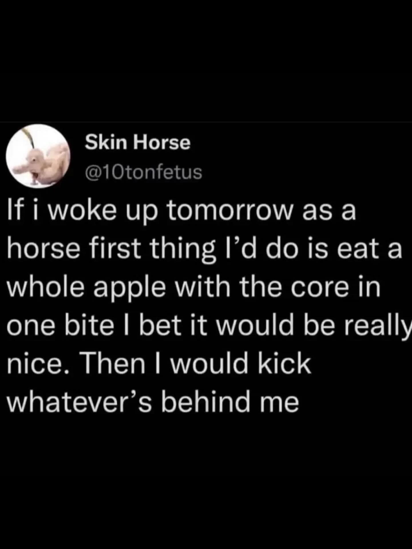 Capturing the chaotic energy of a meme dump, this tweet describes the simple joys of being a horse: eating an entire apple core in one bite and then reflexively kicking anything standing directly behind you.