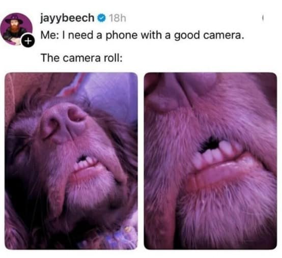 A meme dump highlight from a tweet by jayybeech. It jokes about demanding a phone with a "good camera," only for the camera roll to be filled with extreme, distorted close-ups of a dog’s snout and teeth.