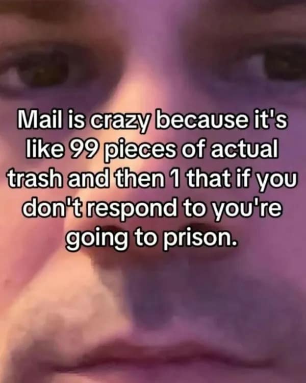 highly accurate adulting hilarious meme featuring an intense close-up stare, perfectly summarizing the absolute terror of checking the mail where ninety-nine pieces are pure garbage and one will literally send you to prison if ignored.