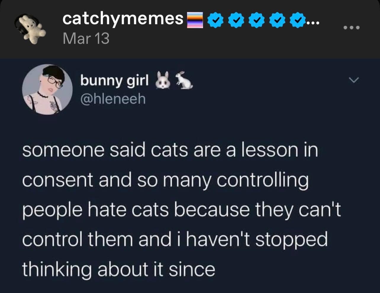 A philosophical text-post from "bunny girl" regarding feline behavior. She argues that cats are a lesson in consent, suggesting that people who dislike cats often have controlling personalities and struggle with animals that cannot be easily dominated.