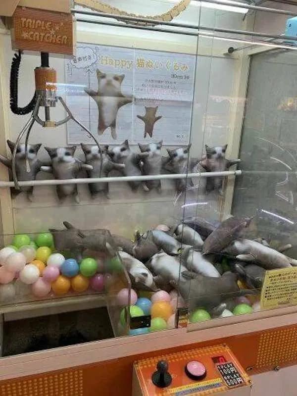 visual from a meme dump showing a Japanese claw machine packed with "Happy Cat" plushies. Every single cat is designed in a rigid "T-pose" with limbs outstretched, creating a hilarious and slightly cult-like aesthetic behind the glass.