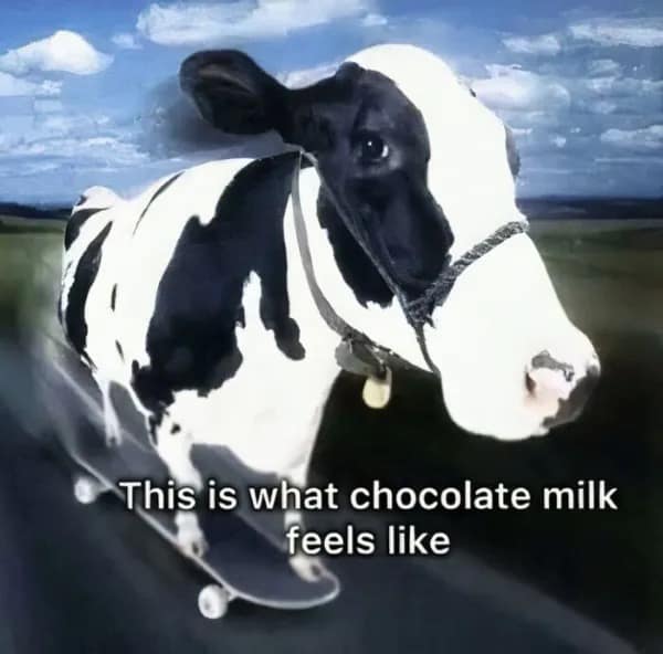 An image of a cow smoothly riding a skateboard down a highway with a caption claiming this is what chocolate milk feels like in this chaotic meme dump.