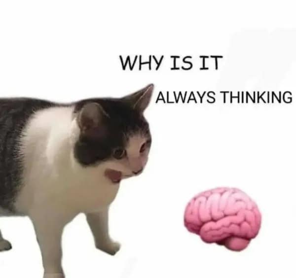 A wide-eyed cat staring in distress at a floating human brain, captioned with the desperate internal plea: "WHY IS IT ALWAYS THINKING."