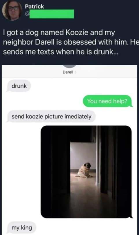 wholesome and chaotic text exchange features a drunk neighbor named Darell demanding an "imediate" photo of a pug named Koozie, whom he respectfully refers to as "my king," in this standout meme dump photo.