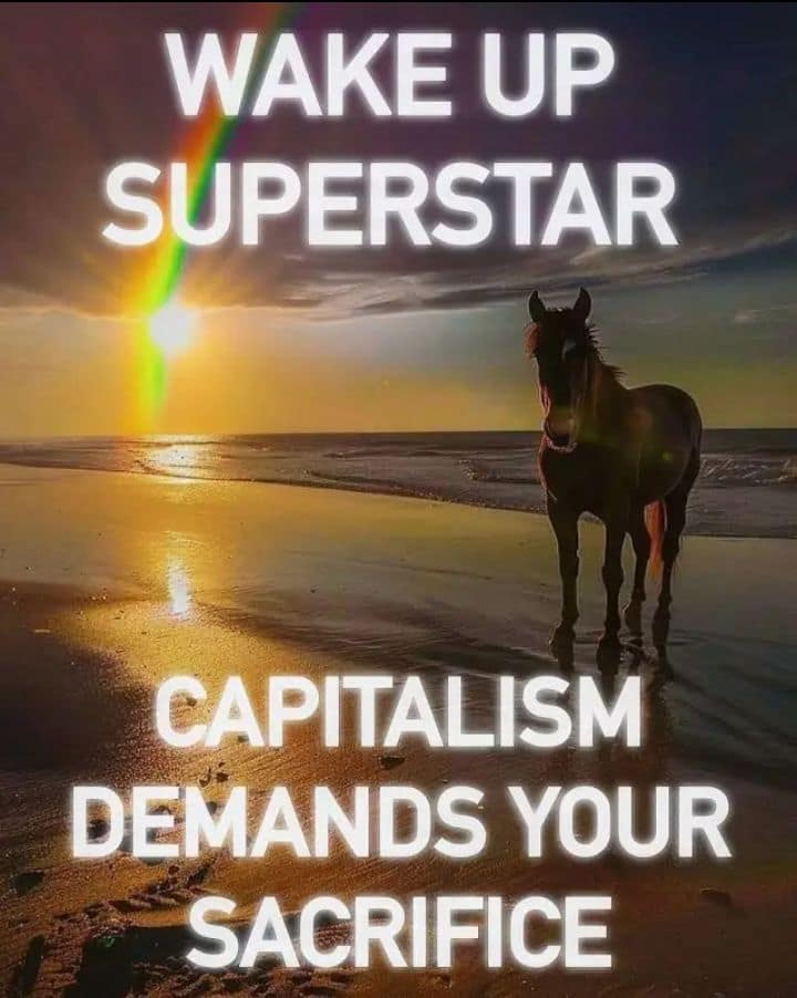 A funny meme showing a beautiful horse standing on a beach at sunrise with an inspiring rainbow, hilariously contrasted by the deeply depressing text declaring wake up superstar, capitalism demands your sacrifice in this relatable meme dump.