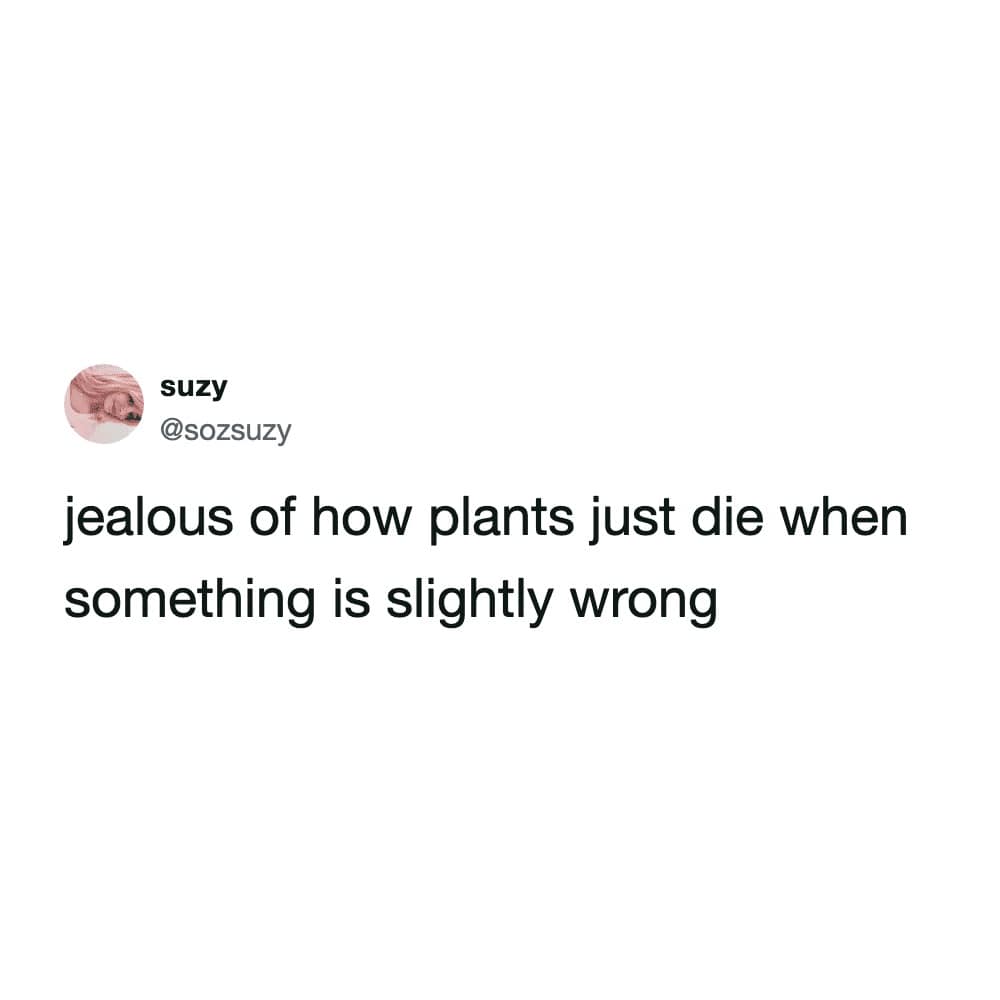 A deeply relatable funny meme tweet expressing intense jealousy toward house plants simply because they are allowed to just die the moment something is slightly wrong, fitting perfectly into a modern meme dump.