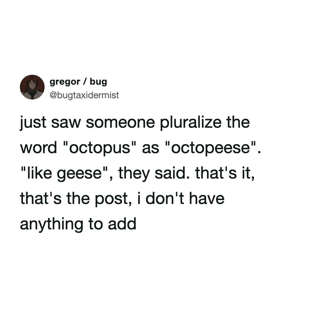 A hilarious text post in this meme dump highlighting a user who confidently pluralized the word octopus as octopeese just like geese, making for a perfectly absurd funny meme about the English language.