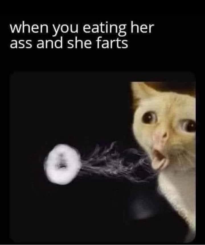A highly crude and funny meme showing a surprised cat blowing a perfect circular smoke ring, paired with an intensely inappropriate caption about flatulence during intimacy, a chaotic staple of any late-night meme dump.