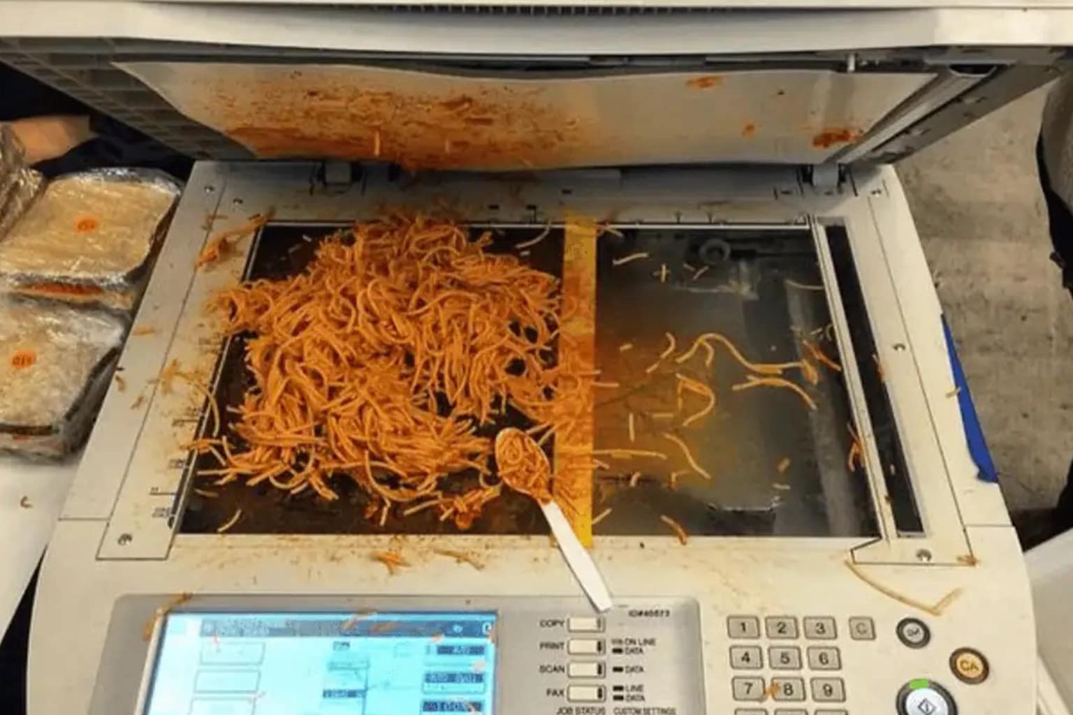 meme dump compilation: A collage featuring a hyper-futuristic university campus built just before graduation, a unhinged raccoon with a "suckatiddyby theocean" caption, and a basketball court built entirely on a giant sand pit.