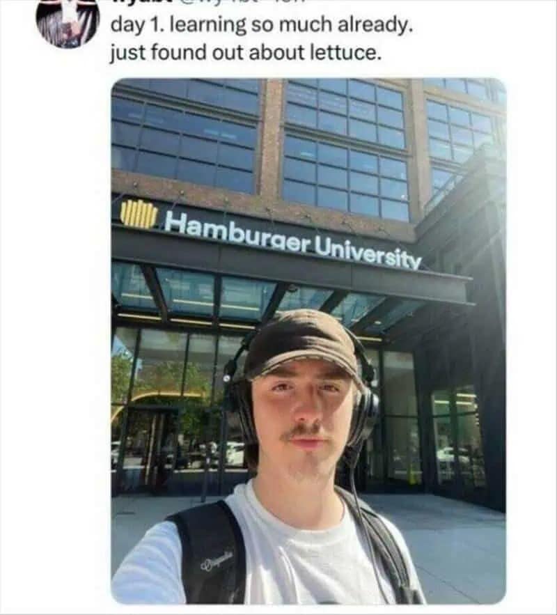 hilarious meme showing a student taking a selfie in front of the glass entrance of "Hamburger University." The tweet text reads, "day 1. learning so much already. just found out about lettuce," satirizing corporate training as basic education.