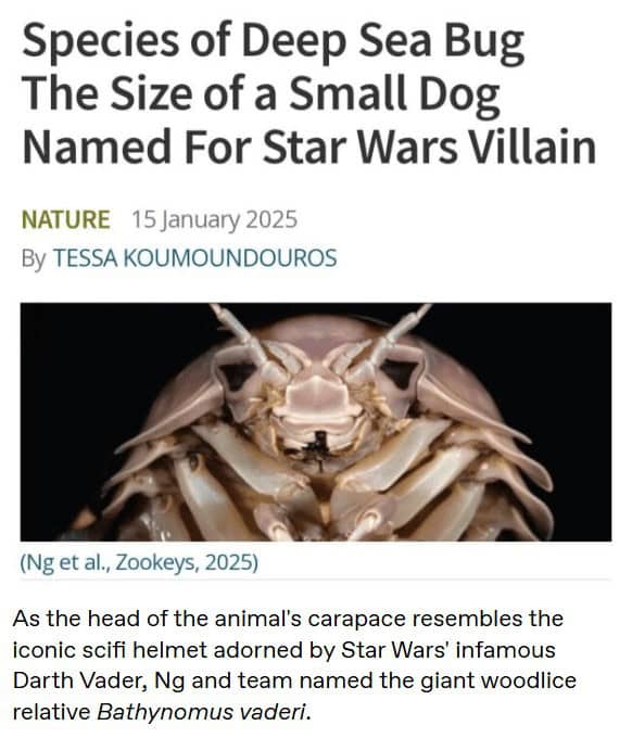 ocean meme showing a news headline about a deep-sea bug the size of a small dog, formally named Bathynomus vaderi because its terrifying face looks exactly like the iconic Star Wars villain Darth Vader.
