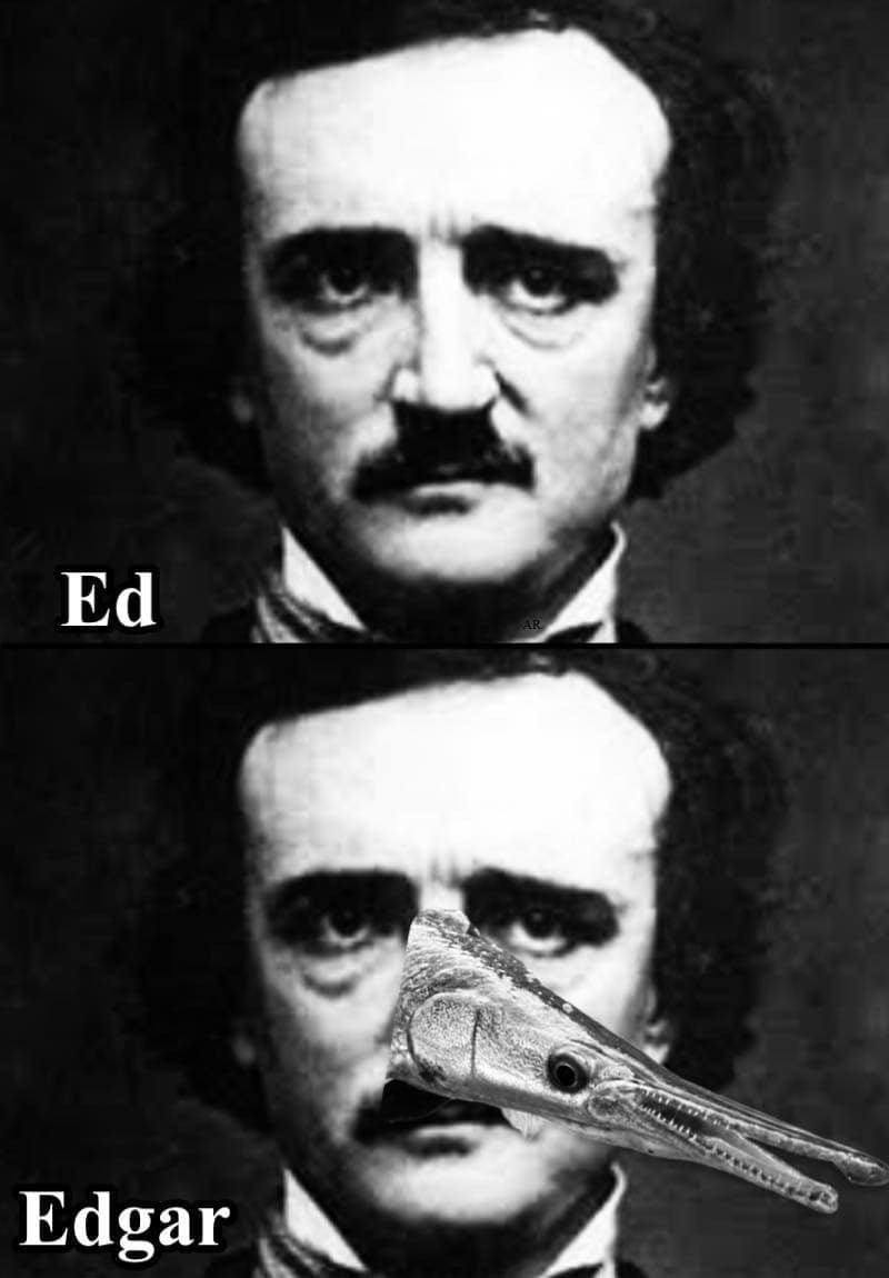 visual pun ocean meme showing a classic portrait of Edgar Allan Poe labeled simply "Ed", followed by the exact same portrait but with a long-snouted gar fish replacing his face, flawlessly labeled "Edgar".
