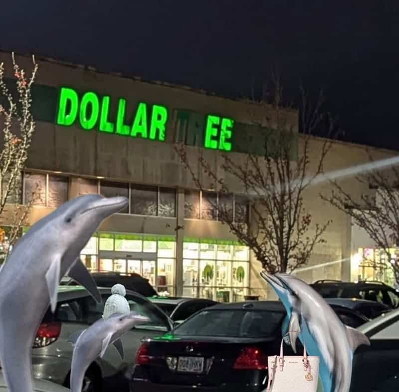 surreal and chaotic ocean meme featuring a photoshopped image of three dolphins casually swimming through the air in a Dollar Tree parking lot at night, complete with one dolphin wearing a white winter beanie and another carrying a purse.