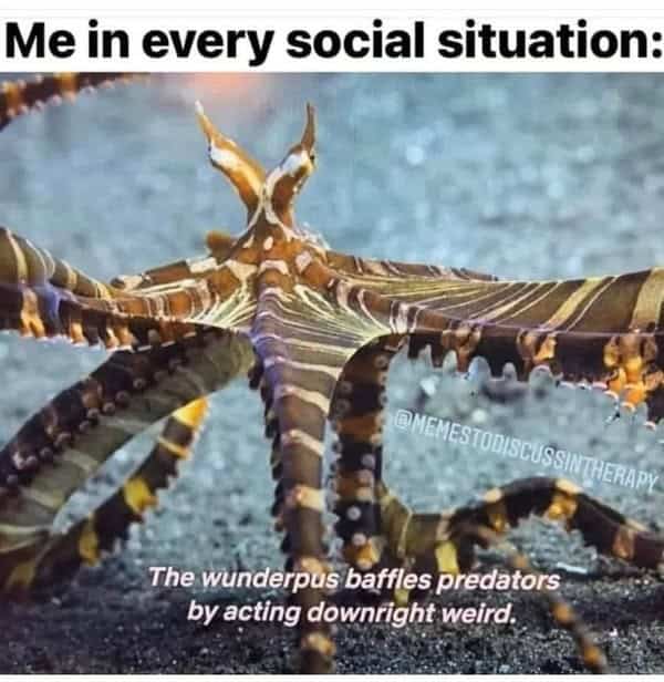 awkward social anxiety ocean meme showing a Wunderpus octopus with its striped tentacles flared out wildly, captioned "Me in every social situation" alongside a nature fact explaining that the creature baffles predators simply by acting downright weird.