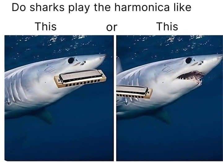 hilarious ocean meme asking the important questions about how sharks play the harmonica, presenting two photoshopped options: holding it horizontally across their pointy snout, or shoving it completely vertically into their open mouth