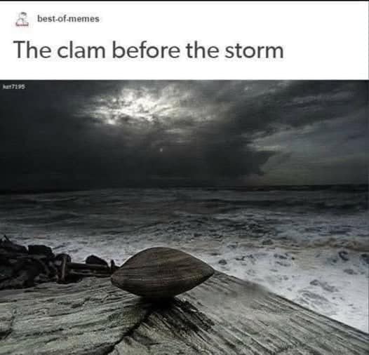 pun-based ocean meme showing a dramatic, dark, and terrifying stormy seascape with a single closed bivalve sitting peacefully on a rock in the foreground, flawlessly captioned "The clam before the storm".