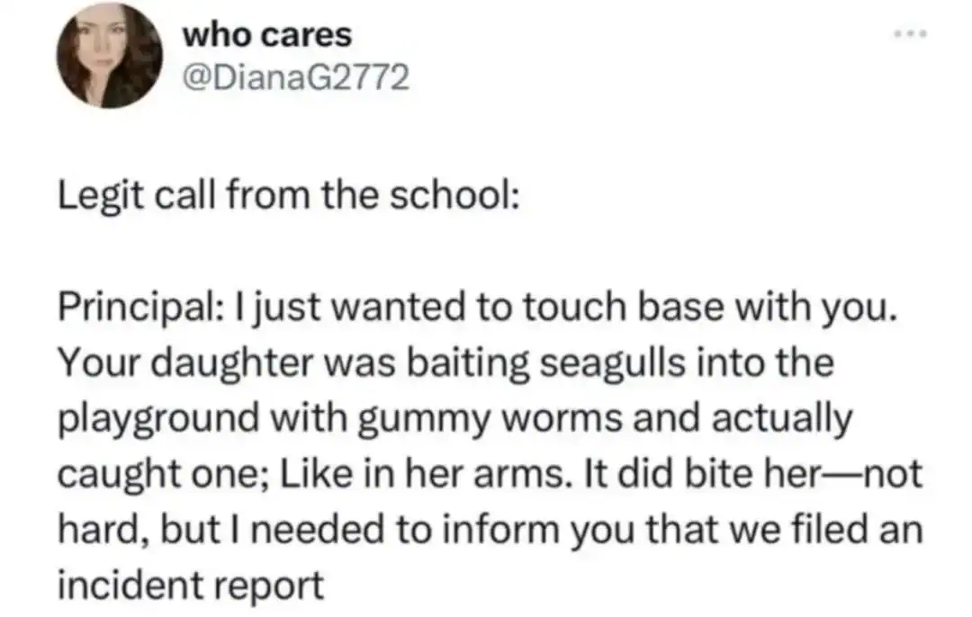 A school incident report description of a daughter catching a live seagull using gummy worms.
