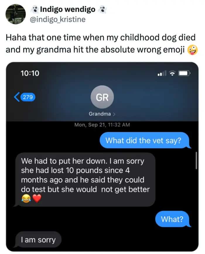 Heartbreaking text about putting a dog down accompanied by a laughing crying emoji and a heart.