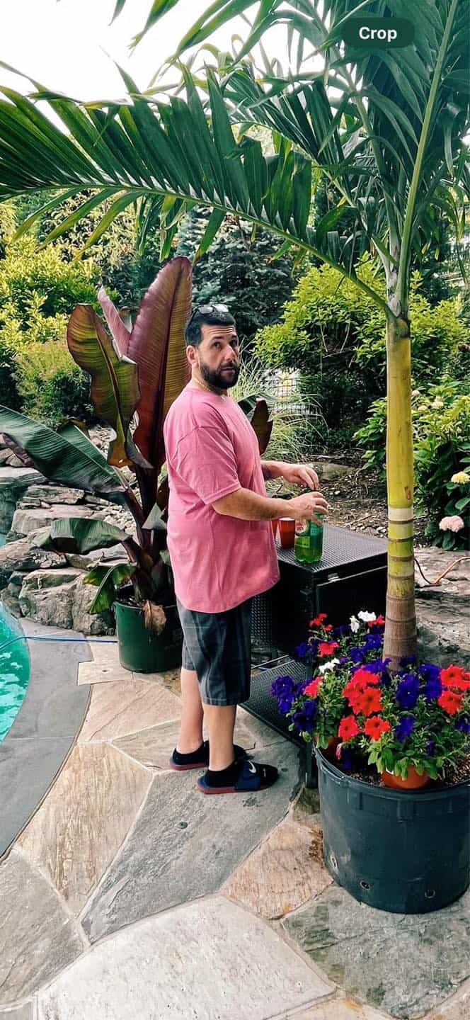 A man in a pink t-shirt and shorts standing by a pool, mimicking Sandler's casual style.