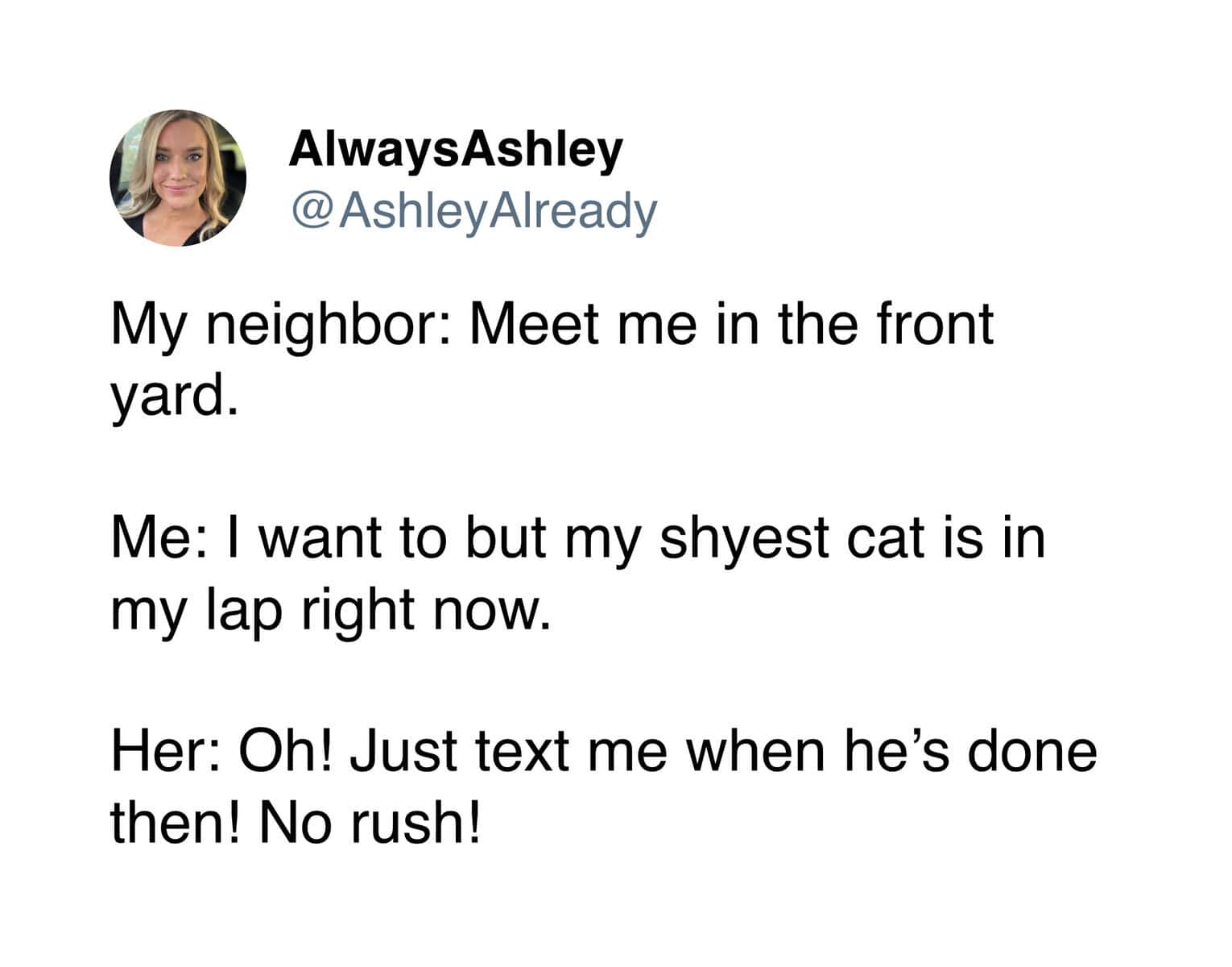 relatable pet meme tweet showing a text exchange where a neighbor agrees to wait indefinitely outside because the user's shyest cat has decided to finally sit on their lap.