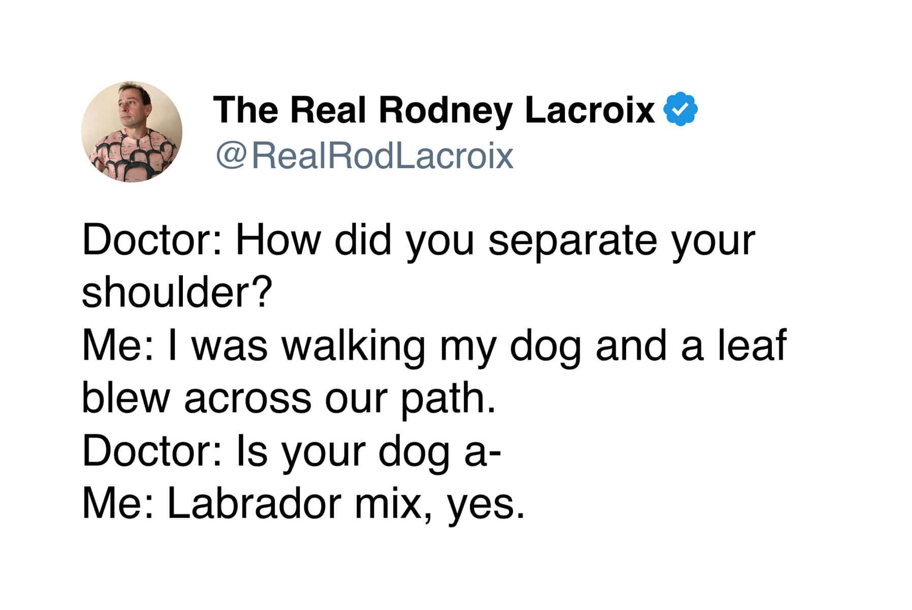 accurate pet meme tweet about a doctor asking how a shoulder was separated, with the patient sheepishly admitting they were just walking their Labrador mix when a leaf blew across the path.