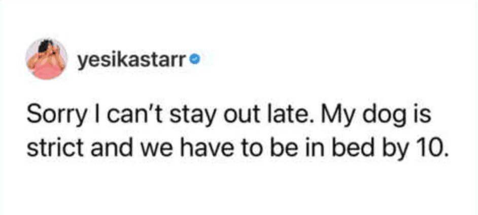deeply relatable pet meme tweet providing the ultimate excuse for introverts to leave a social gathering, claiming they cannot stay out late because their dog is strict and requires them to be in bed by ten.