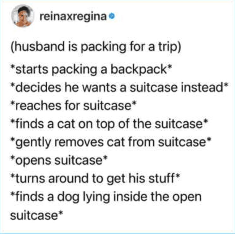 hilarious pet meme detailing the intense struggle of packing for a trip, where a husband tries to use a suitcase only to find a cat sitting on top of it, and upon opening it, immediately finds a dog lying inside.