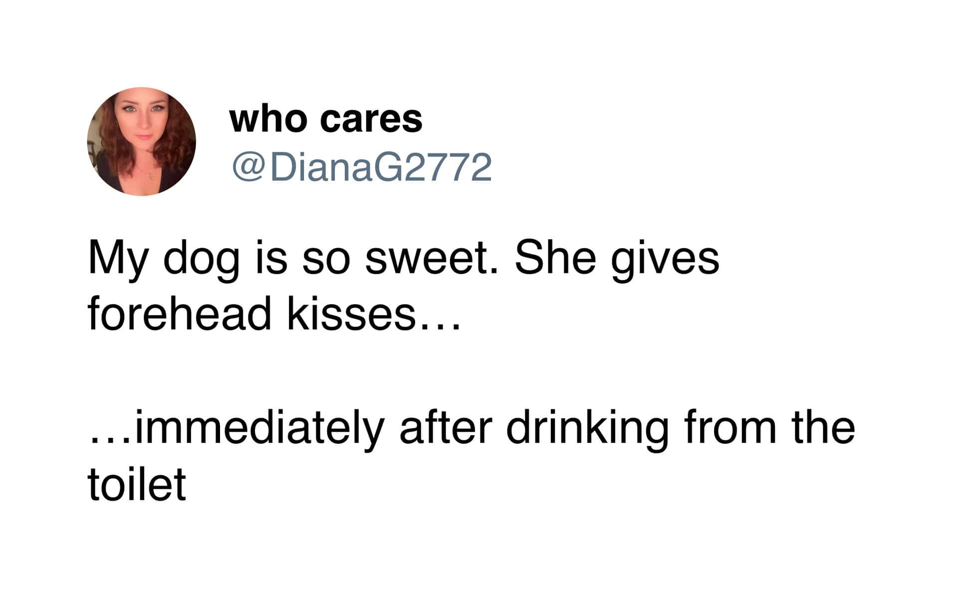 gross-out pet meme explaining the duality of dog ownership, where a dog gives the sweetest, most loving forehead kisses immediately after enthusiastically drinking water straight out of the toilet bowl.