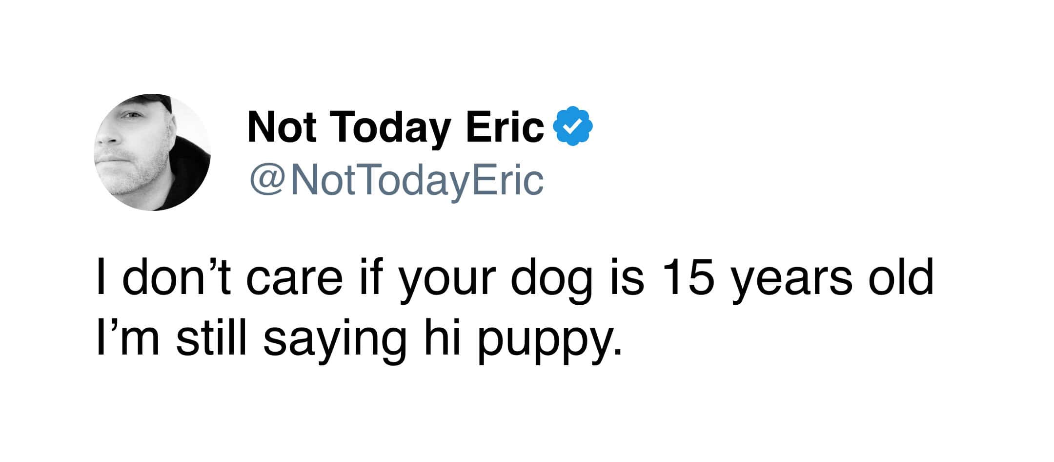 wholesome and universally understood pet meme tweet declaring that it absolutely does not matter if a dog is fifteen years old, they will always be warmly greeted with a cheerful "hi puppy."